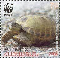 Stamp, Horsfield's Tortoise (Testudo horsfieldii), Armenia,  , WWF, Reptiles, Turtles, Animals (Fauna)