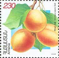 Apricots.(Voski).