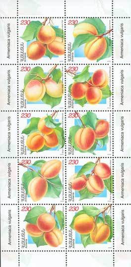 Apricots.