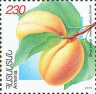 Apricots.(Yerevani).
