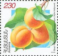 Apricots.(Dekhin Nakhidgevanik).