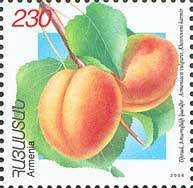 Apricots.(Hosroveni karmir).