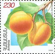 Apricots.(Sateni dekhin).