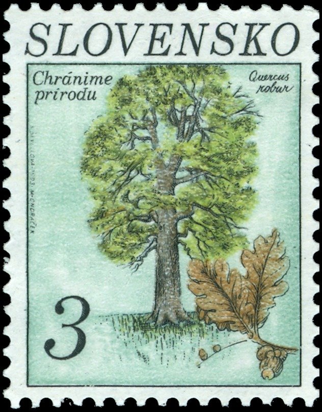 Ochrana prirody