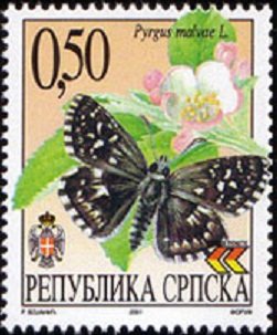 Stamp, Grizzled Skipper (Pyrgus malvae), Bosnia and Herzegovina, Serbian Administration,  , Butterflies