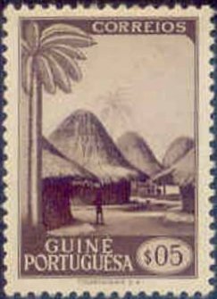 Aborigine-House