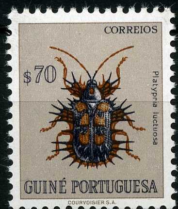 Leaf Mining Beetle (Platypria luctuosa)