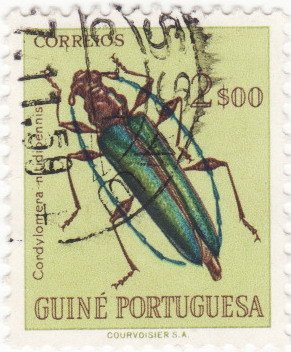Stamp, Longhorn Beetle (Cordylomera nitidipennis), Portuguese colonies and territories in Africa,  