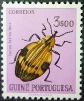 Net-wing Beetle (Lycus latissimus)