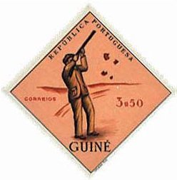 Clay-Target-Shooting