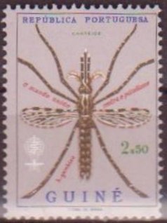 Anopheles Mosquito (Anopheles sp.)