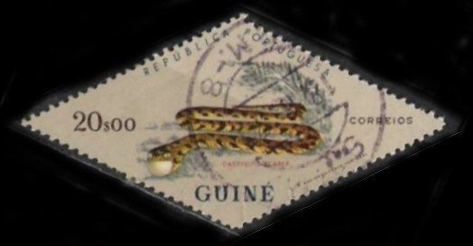 Stamp, Common Egg Eater (Dasypeltis scaber), Portuguese colonies and territories in Africa,  , Reptiles, Snakes, Animals (Fauna)