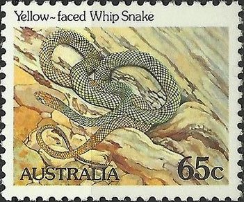 Stamp, Yellow-faced Whip Snake (Demansia reticulata), Australia,  , Reptiles, Snakes, Animals (Fauna)