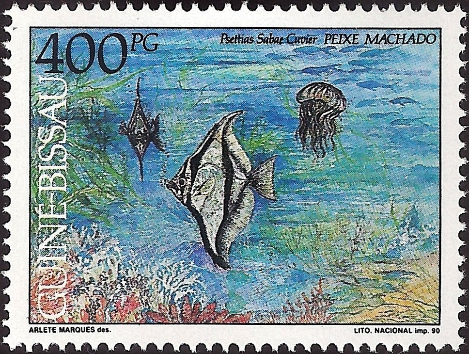 African Moony (Monodactylus sabae)