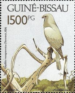 Stamp, Lizard Buzzard (Kaupifalco monogrammicus), Guinea-Bissau,  