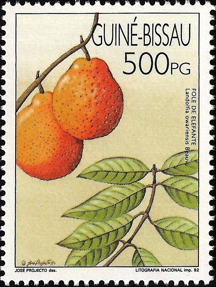 Fruits of Guinea-Bissau