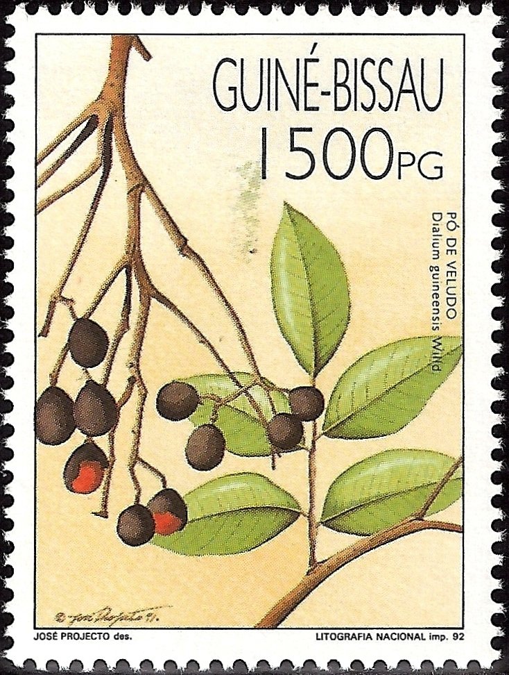Fruits of Guinea-Bissau