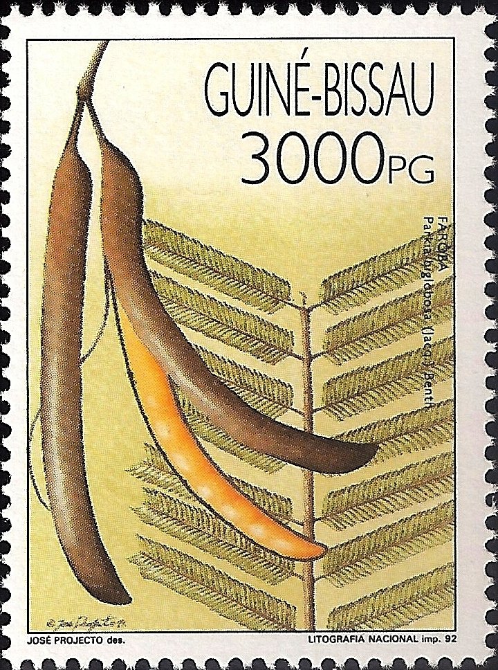 Fruits of Guinea-Bissau