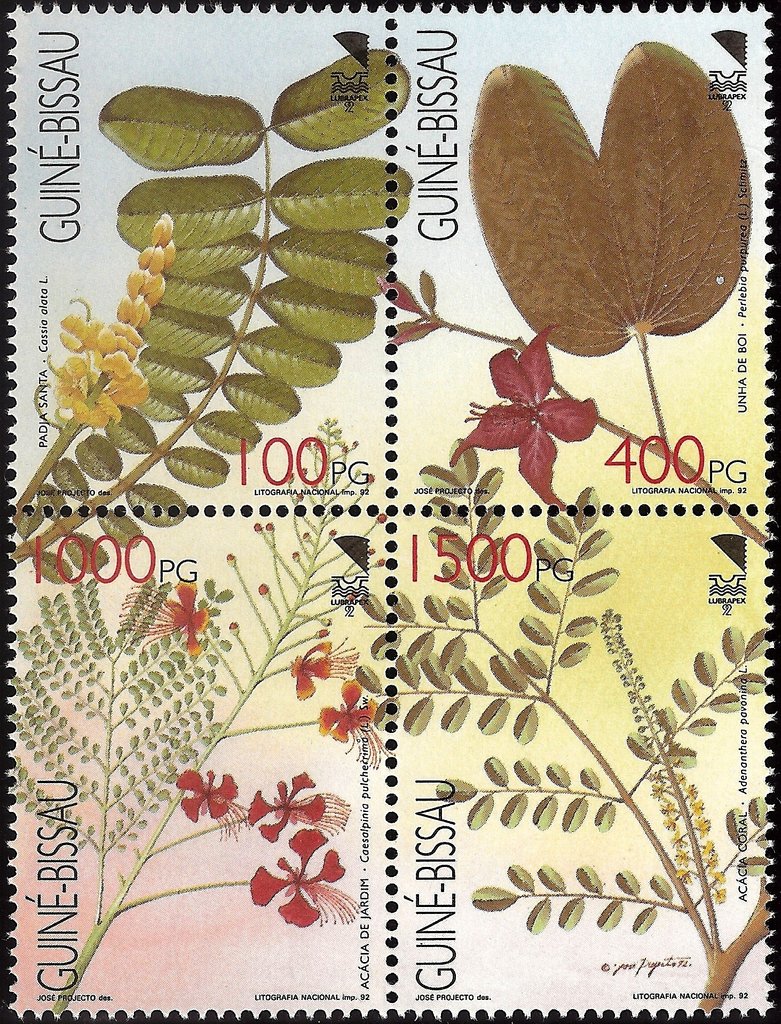 Ornamental Trees - 92 Lubrapex
