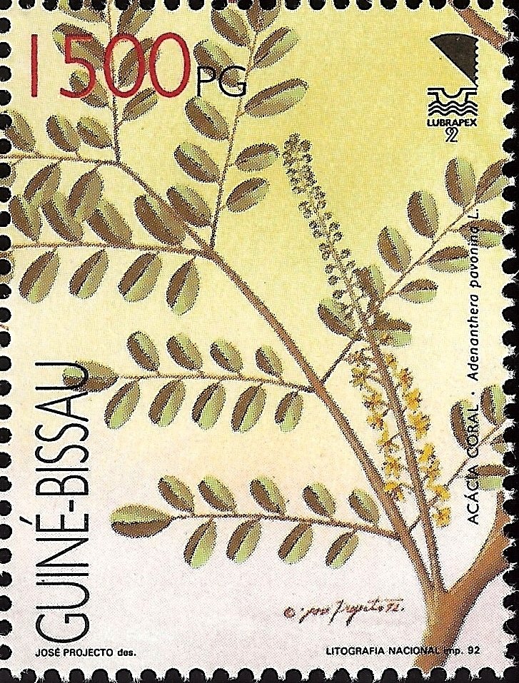 Ornamental Trees - 92 Lubrapex