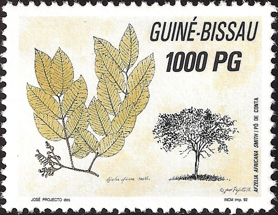 Forest Protection