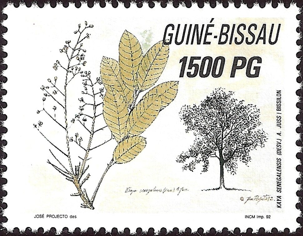 Forest Protection
