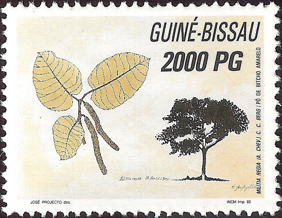 Forest Protection