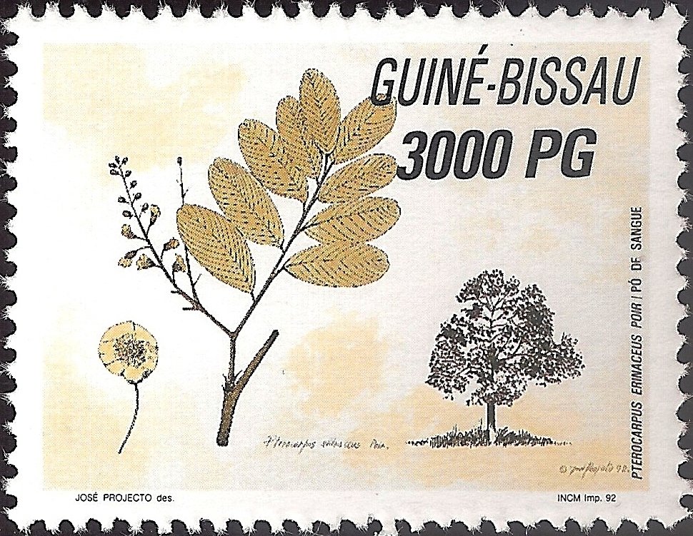 Forest Protection