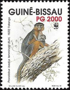 Stamp, Western Red Colobus (Procolobus badius ssp. temminckii), Guinea-Bissau,  , WWF, Monkeys