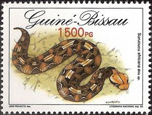 Stamp, Adder (Bitis sp.), Guinea-Bissau,  , Reptiles, Snakes, Animals (Fauna)