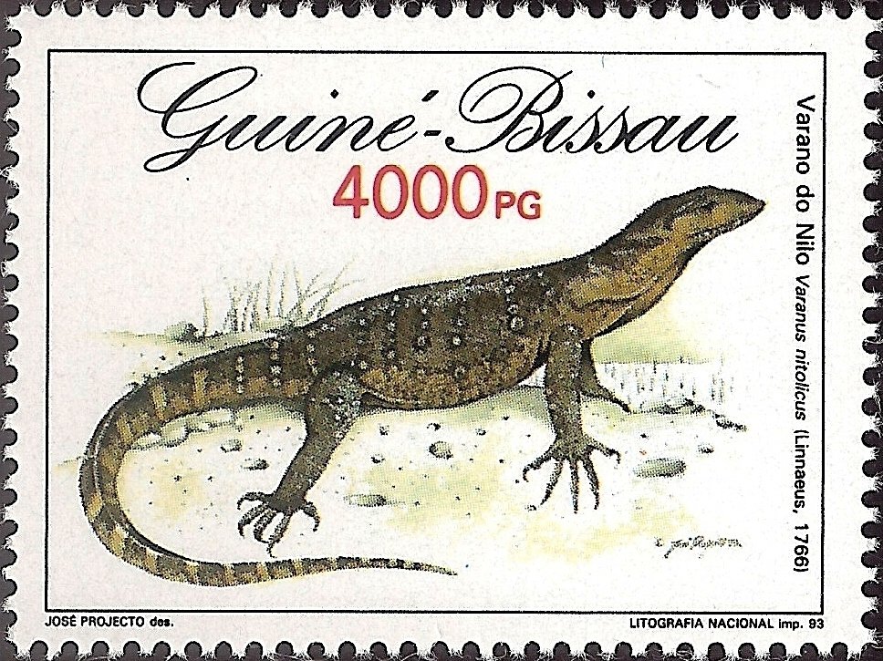 Nile Monitor (Varanus niloticus)
