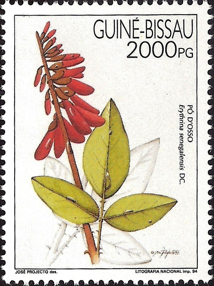Medicinal Plant