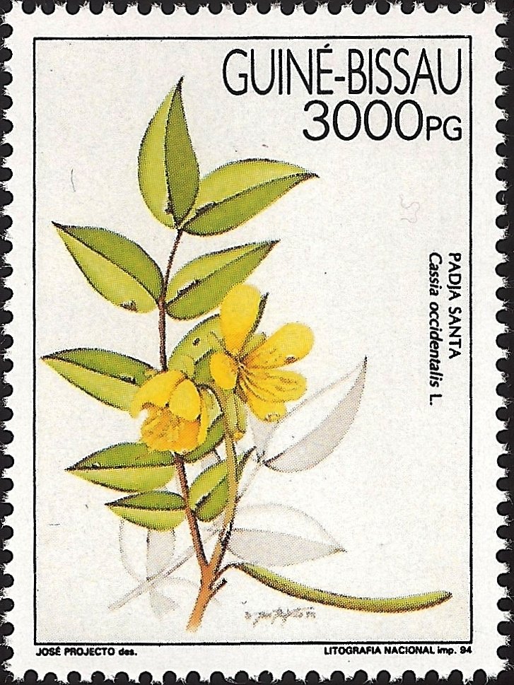Medicinal Plant