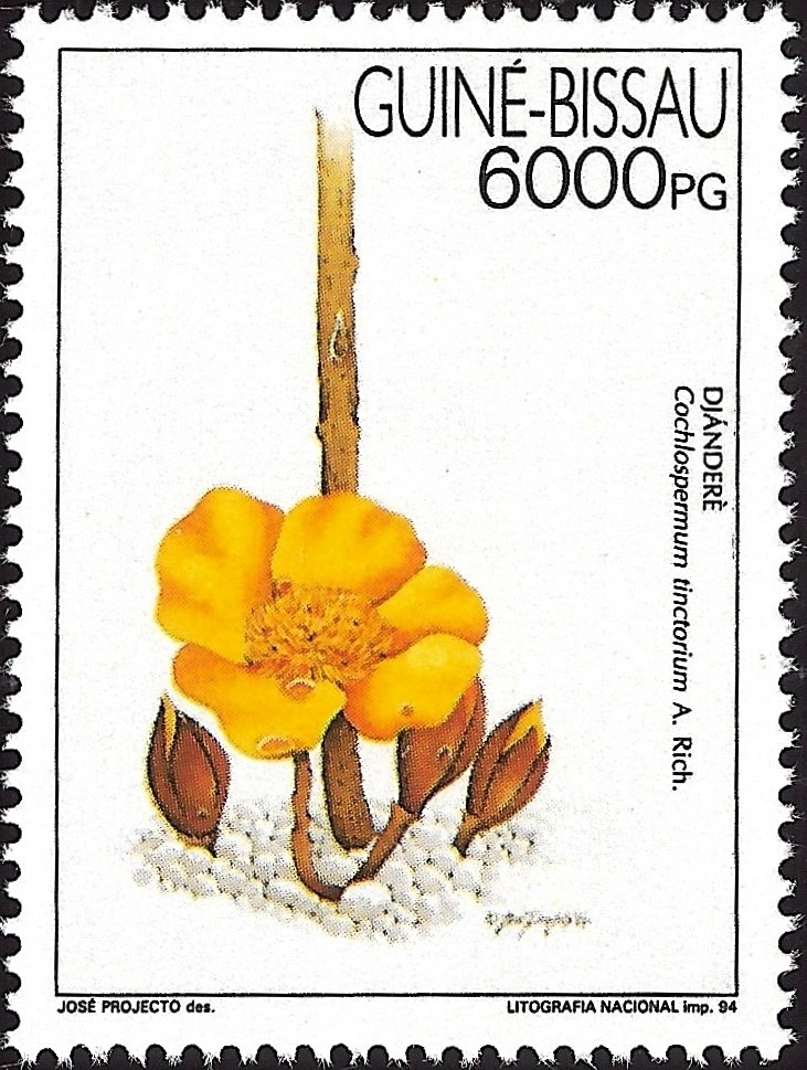 Medicinal Plant