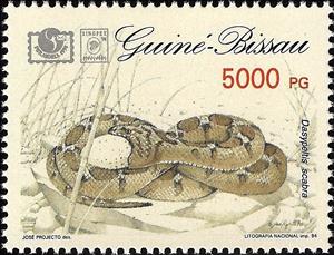 Stamp, Common Egg-eater (Dasypeltis scabra), Guinea-Bissau,  , Snakes