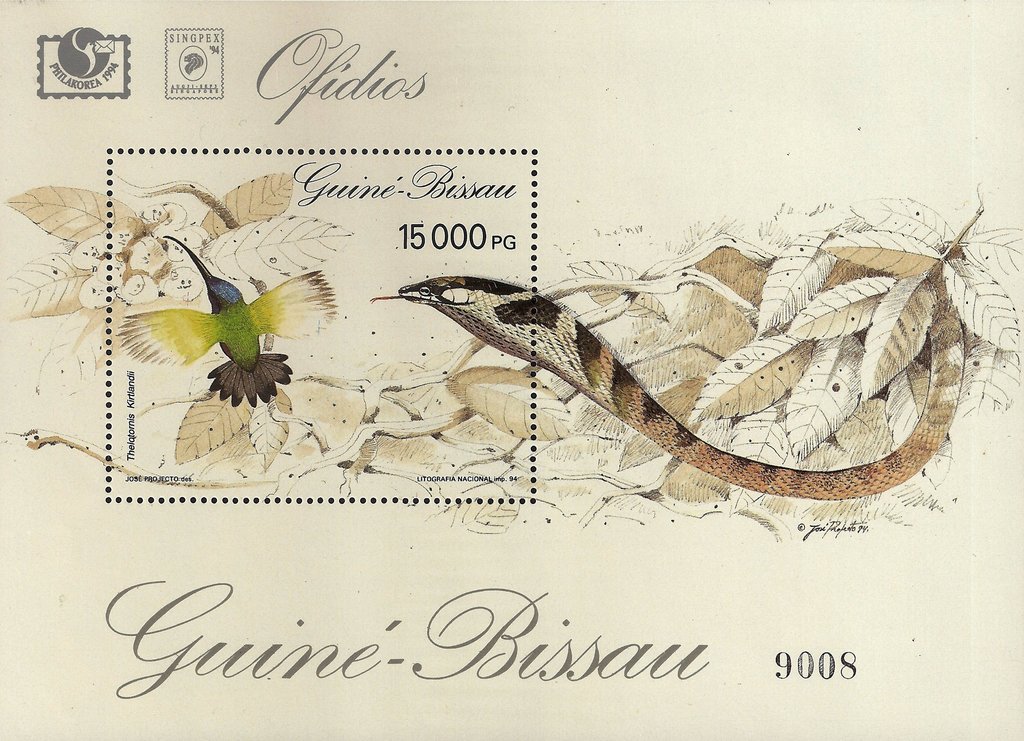 Twg Snake (Thelothornis kirtlandii)
