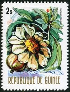 Stamp, Fried Egg Tree (Oncoba spinosa), Guinea, Social Democratic Republic,  , Flowers, Plants (Flora)