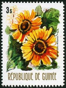 Stamp, Venidium fastuosum, Guinea, Social Democratic Republic,  , Flowers, Plants (Flora)