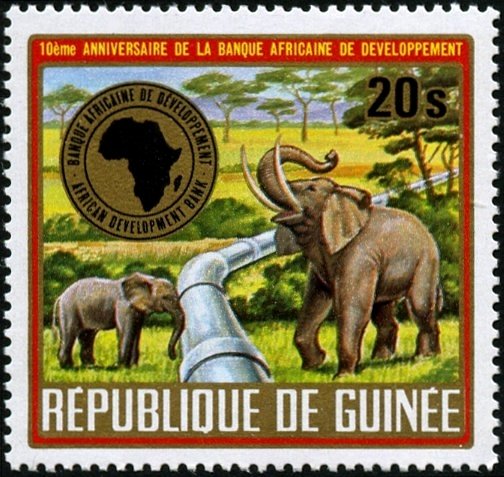 African Elephant (Loxodonta africana), Pipeline