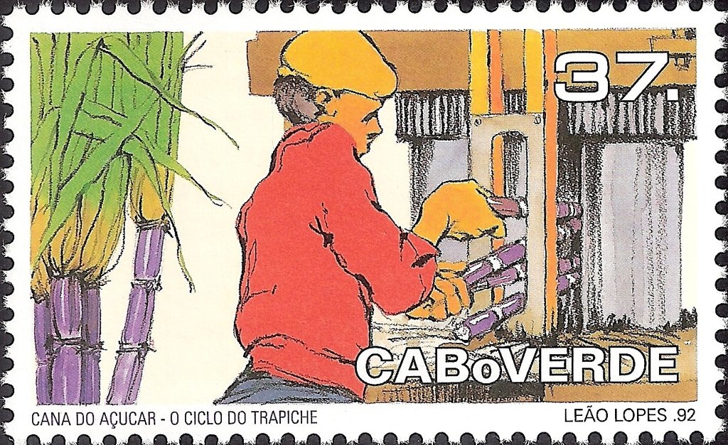 Sugar Cane - The Cycle of Trapiche