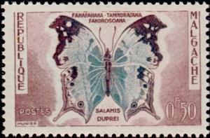 Stamp, Clouded Mother-of-pearl (Salamis duprei), Madagascar,  , Insects, Butterflies, Animals (Fauna)