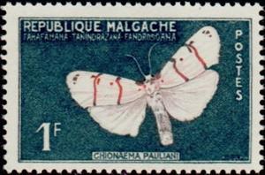 Stamp, Moth (Chionaema pauliani), Madagascar,  , Insects, Butterflies, Animals (Fauna)