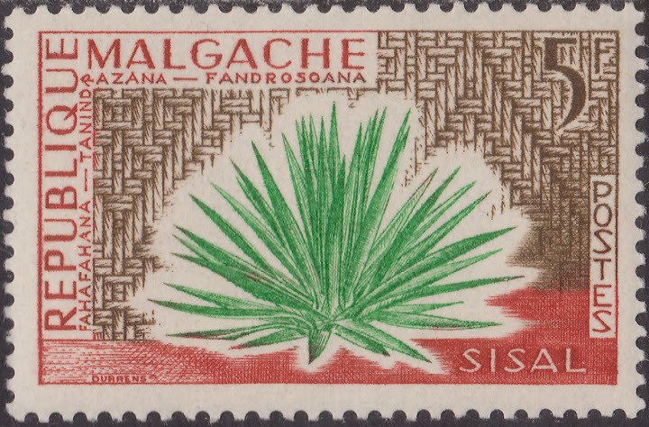 Sisal