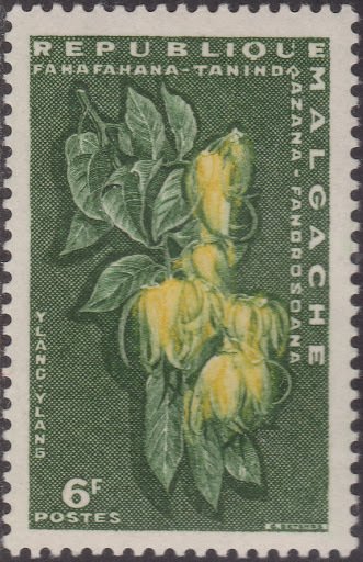 Ylang-ylang