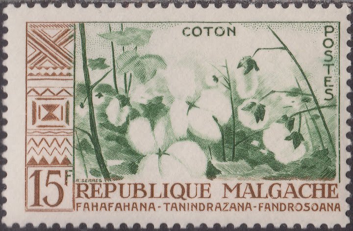 Cotton
