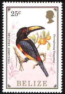 Stamp, Collared Aracari (Pteroglossus torquatus), Belize,  , Birds