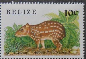 Stamp, Lowland Paca (Cuniculus paca), Belize,  , Animals (Fauna)