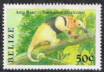 Tamandua (Tamandua tetradactyla)