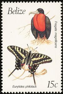 Stamp, Magnificent Frigatebird (Fregata magnificens), Belize,  , Birds, Insects, Butterflies, Animals (Fauna)
