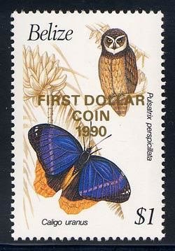 Spectacled Owl (Pulsatrix perspicillata) - Overprinted in Go